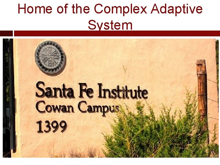Home of the Complex Adaptive System 