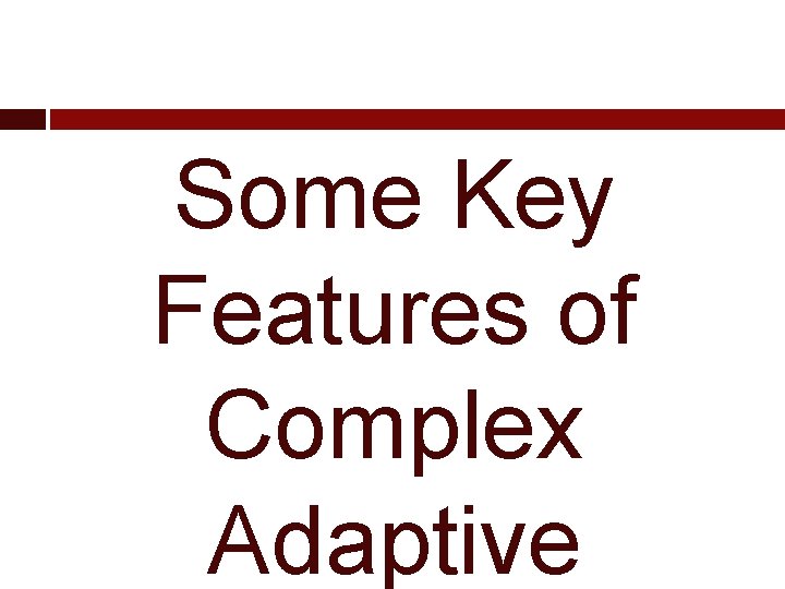 Some Key Features of Complex Adaptive 