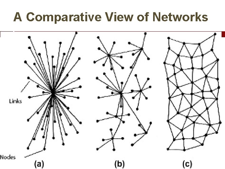 A Comparative View of Networks 