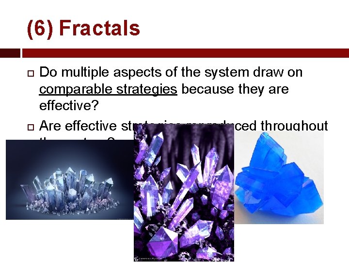 (6) Fractals Do multiple aspects of the system draw on comparable strategies because they