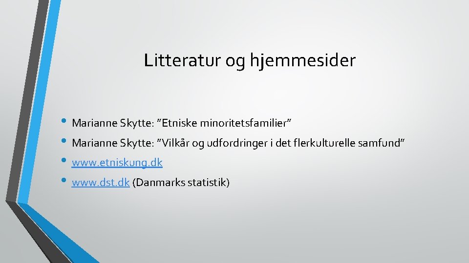 Litteratur og hjemmesider • Marianne Skytte: ”Etniske minoritetsfamilier” • Marianne Skytte: ”Vilkår og udfordringer