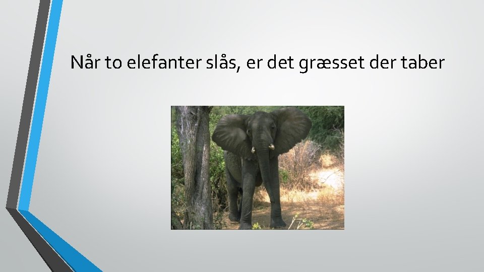 Når to elefanter slås, er det græsset der taber 