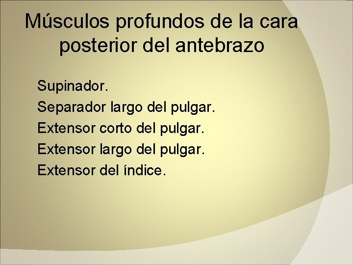 Músculos profundos de la cara posterior del antebrazo Supinador. Separador largo del pulgar. Extensor