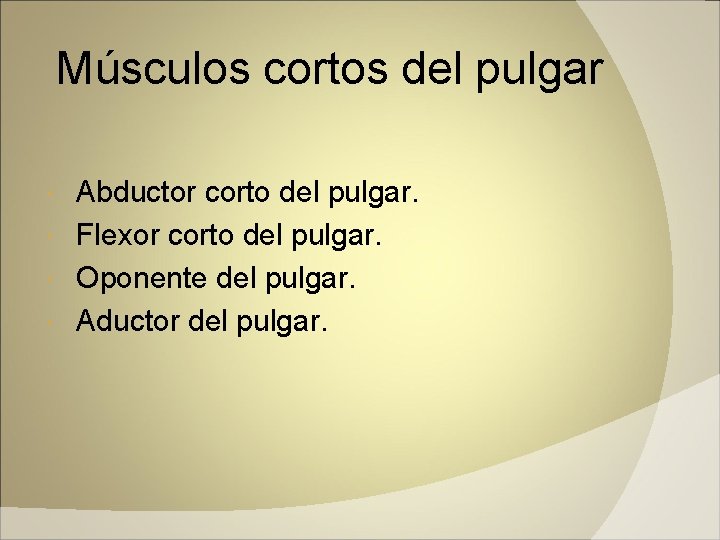 Músculos cortos del pulgar Abductor corto del pulgar. Flexor corto del pulgar. Oponente del