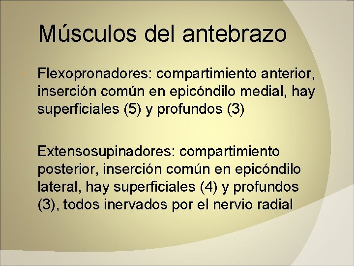 Músculos del antebrazo Flexopronadores: compartimiento anterior, inserción común en epicóndilo medial, hay superficiales (5)