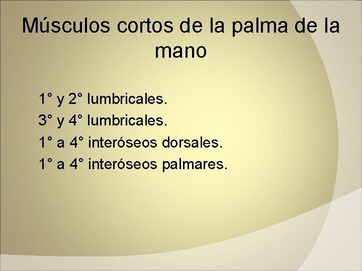 Músculos cortos de la palma de la mano 1° y 2° lumbricales. 3° y