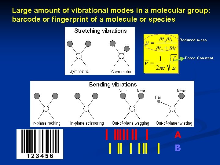 Large amount of vibrational modes in a molecular group: barcode or fingerprint of a
