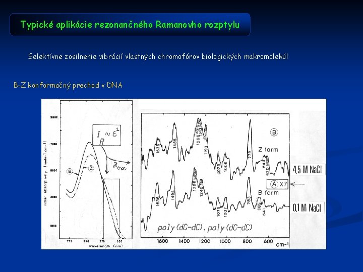 Typické aplikácie rezonančného Ramanovho rozptylu Selektívne zosilnenie vibrácií vlastných chromofórov biologických makromolekúl B-Z konformačný