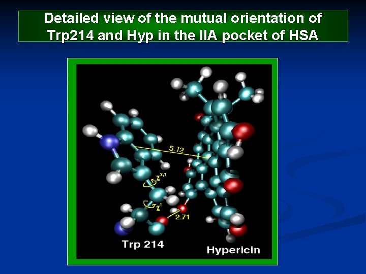 Detailed view of the mutual orientation of Trp 214 and Hyp in the IIA