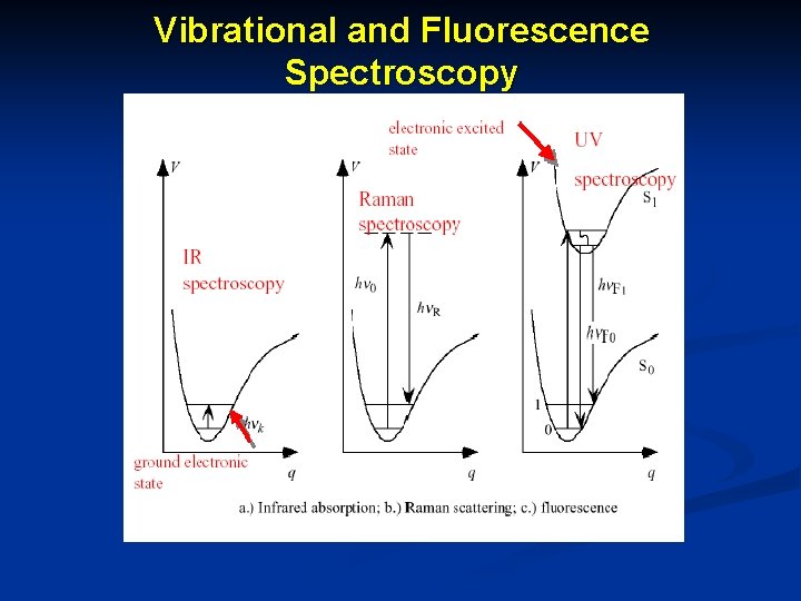 Vibrational and Fluorescence Spectroscopy 