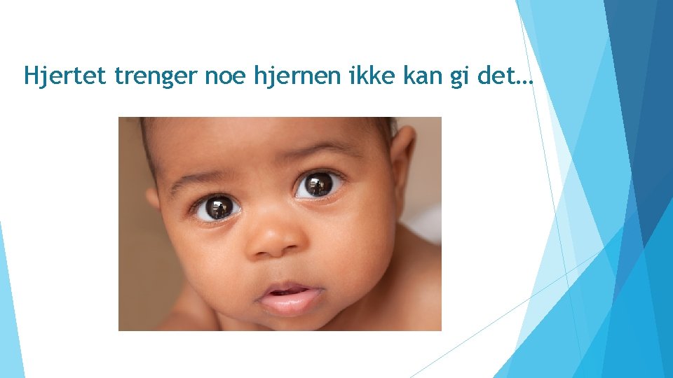 Hjertet trenger noe hjernen ikke kan gi det… 