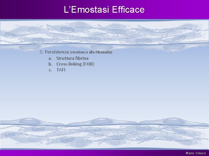 L’Emostasi Efficace 3. Persistenza (resistenza alla Fibrinolisi) a. Struttura fibrina b. Cross-linking (FXIII) c.