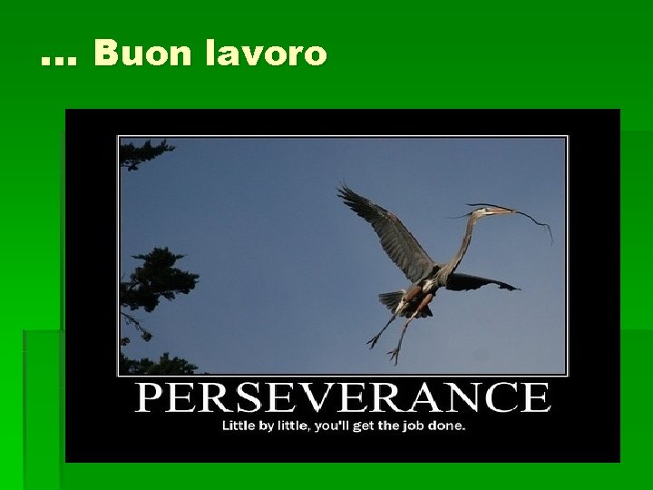 … Buon lavoro 