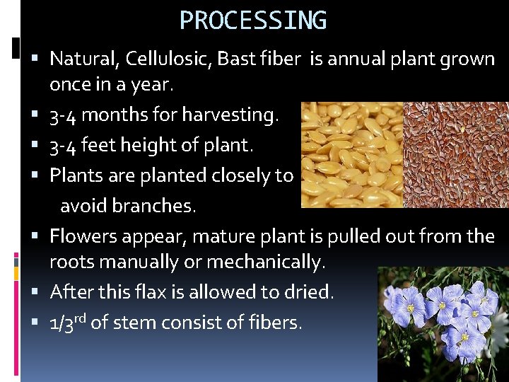 PROCESSING Natural, Cellulosic, Bast fiber is annual plant grown once in a year. 3