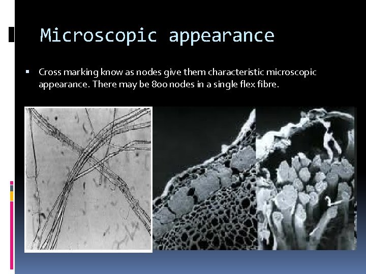 Microscopic appearance Cross marking know as nodes give them characteristic microscopic appearance. There may