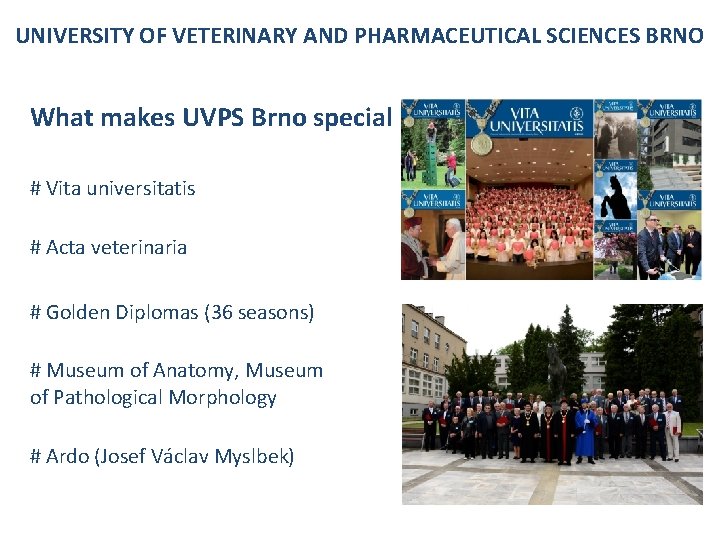 UNIVERSITY OF VETERINARY AND PHARMACEUTICAL SCIENCES BRNO What makes UVPS Brno special # Vita