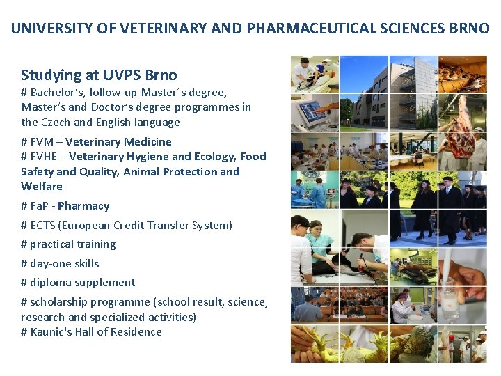 UNIVERSITY OF VETERINARY AND PHARMACEUTICAL SCIENCES BRNO Studying at UVPS Brno # Bachelor’s, follow-up