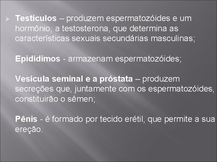 Ø Testículos – produzem espermatozóides e um hormônio, a testosterona, que determina as características