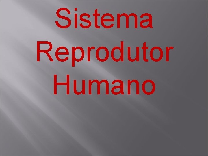 Sistema Reprodutor Humano 
