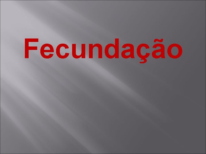 Fecundação 
