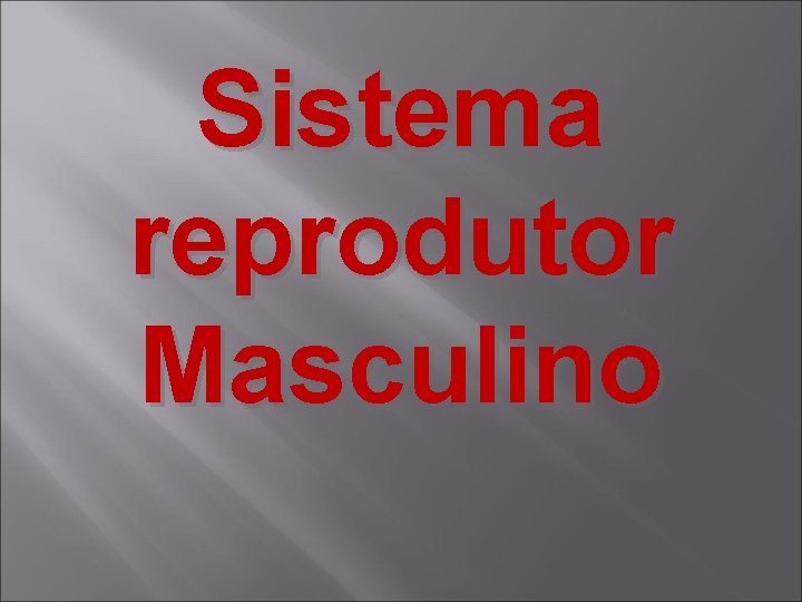 Sistema reprodutor Masculino 