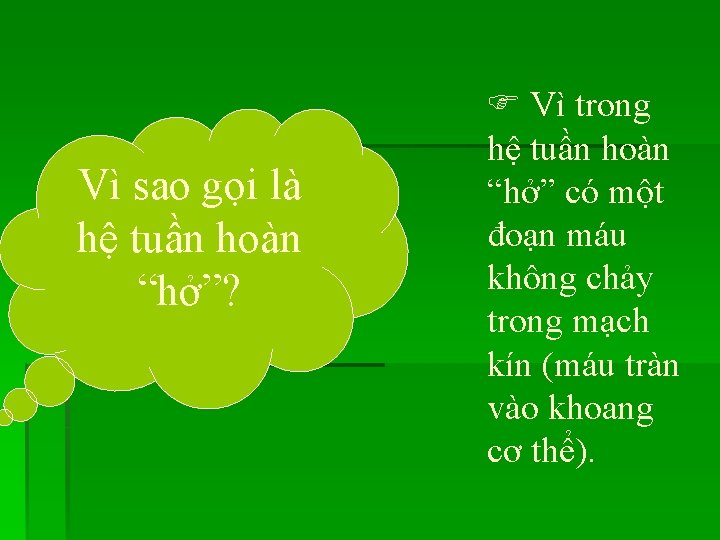 Vì sao gọi là hệ tuần hoàn “hở”? Vì trong hệ tuần hoàn “hở”