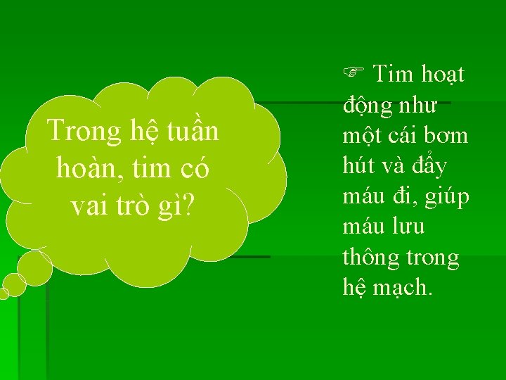 Trong hệ tuần hoàn, tim có vai trò gì? Tim hoạt động như một