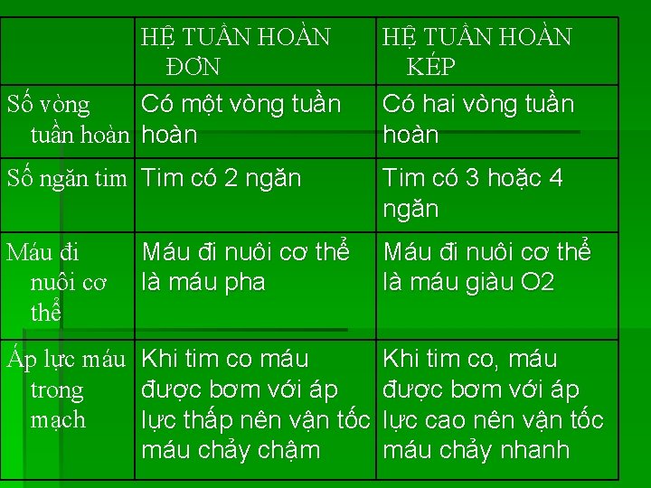 HỆ TUẦN HOÀN ĐƠN Số vòng Có một vòng tuần hoàn HỆ TUẦN HOÀN