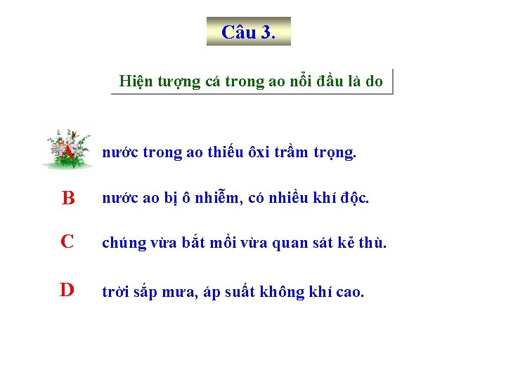 Câu 3. Hiện tượng cá trong ao nổi đầu là do A nước trong