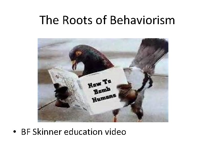 The Roots of Behaviorism • BF Skinner education video 