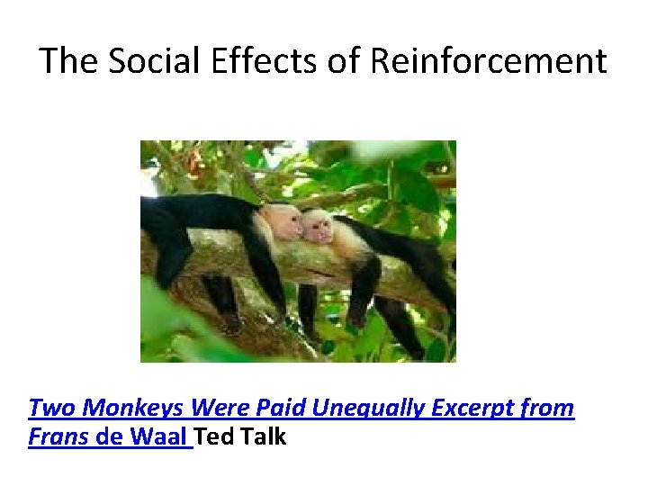 The Social Effects of Reinforcement Two Monkeys Were Paid Unequally Excerpt from Frans de