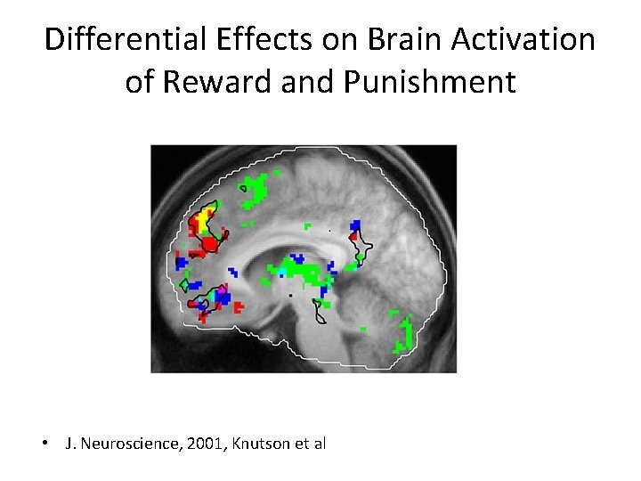 Differential Effects on Brain Activation of Reward and Punishment • J. Neuroscience, 2001, Knutson