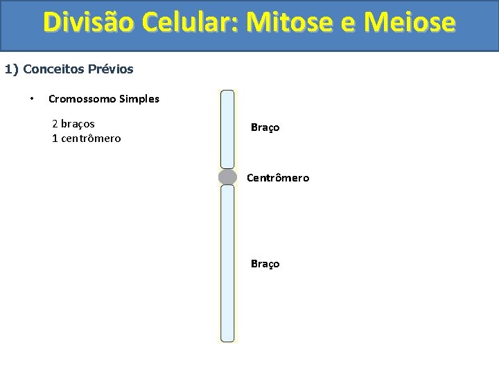 Divisão Celular: Mitose e Meiose 1) Conceitos Prévios • Cromossomo Simples 2 braços 1