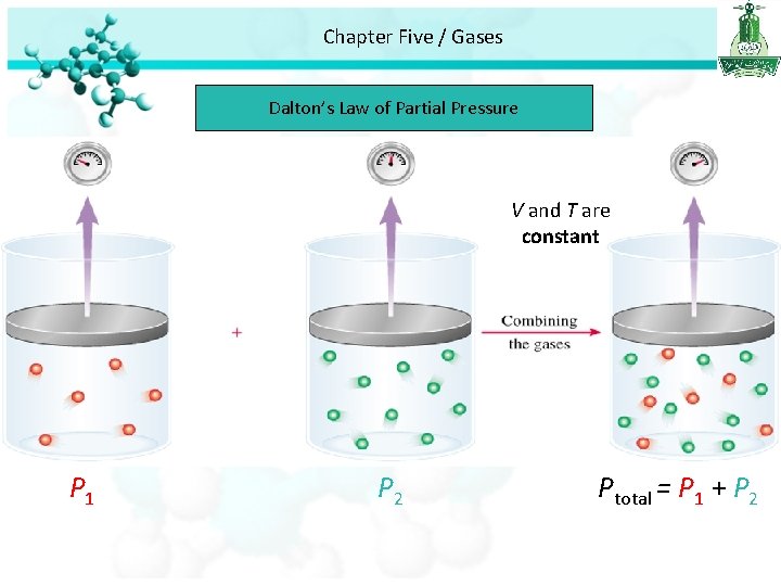Chapter Five / Gases Dalton’s Law of Partial Pressure V and T are constant Chapter Five / Gases Dalton’s Law of Partial Pressure V and T are constant