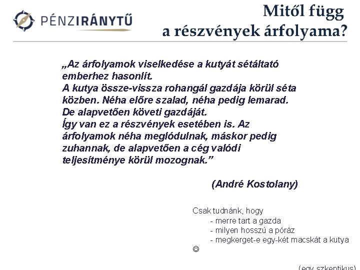 „Az árfolyamok viselkedése a kutyát sétáltató emberhez hasonlít. A kutya össze-vissza rohangál gazdája körül