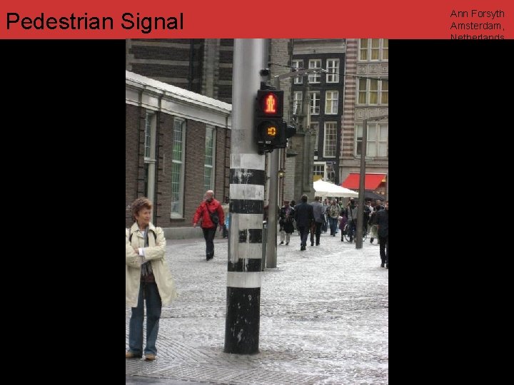 Pedestrian Signal Ann Forsyth Amsterdam, Netherlands www. annforsyth. net 