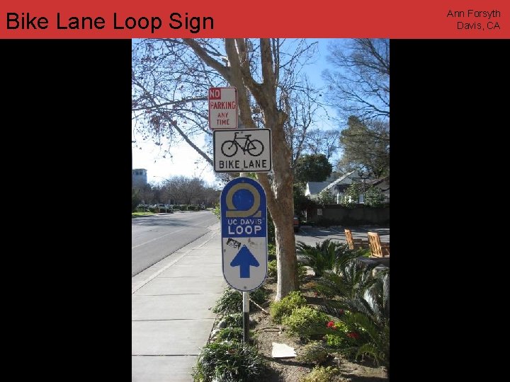 Bike Lane Loop Sign Ann Forsyth Davis, CA www. annforsyth. net 