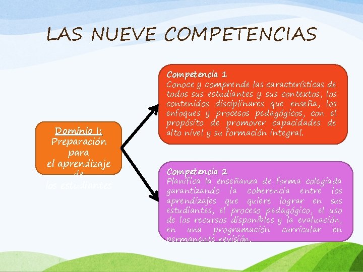 LAS NUEVE COMPETENCIAS Dominio I: Preparación para el aprendizaje de los estudiantes Competencia 1