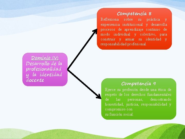 Competencia 8 Reflexiona sobre su práctica y experiencia institucional y desarrolla procesos de aprendizaje