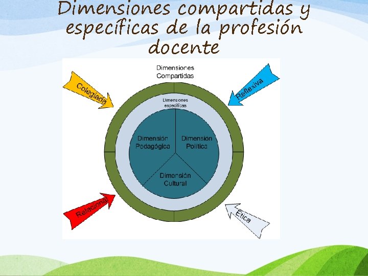 Dimensiones compartidas y específicas de la profesión docente 