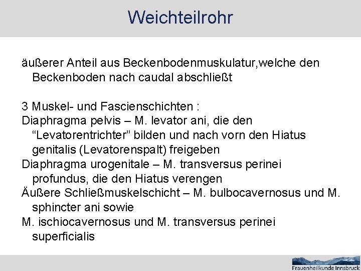 Weichteilrohr äußerer Anteil aus Beckenbodenmuskulatur, welche den Beckenboden nach caudal abschließt 3 Muskel- und