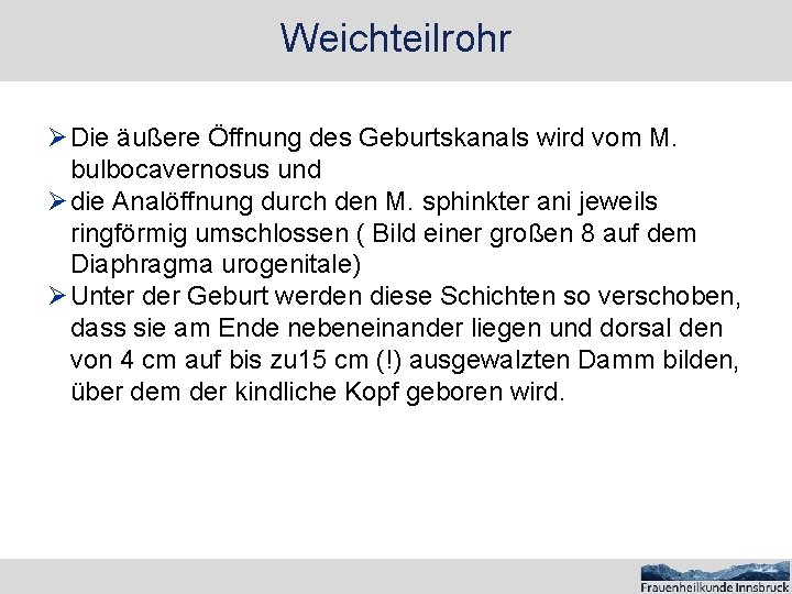 Weichteilrohr Ø Die äußere Öffnung des Geburtskanals wird vom M. bulbocavernosus und Ø die