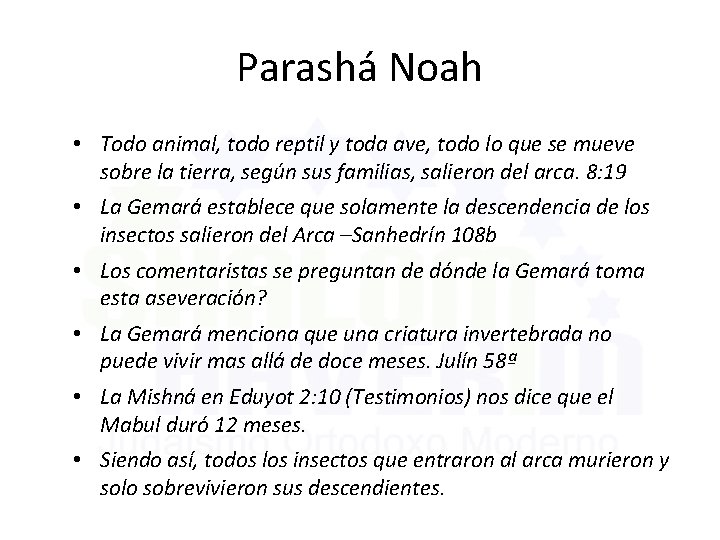 Parashá Noah • Todo animal, todo reptil y toda ave, todo lo que se