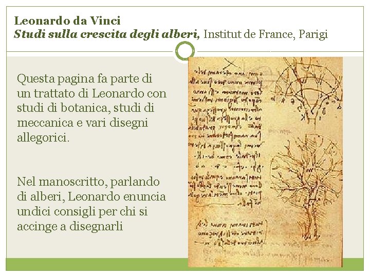 Leonardo da Vinci Studi sulla crescita degli alberi, Institut de France, Parigi Questa pagina