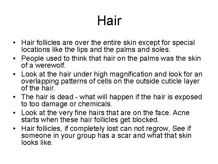 Hair • Hair follicles are over the entire skin except for special locations like