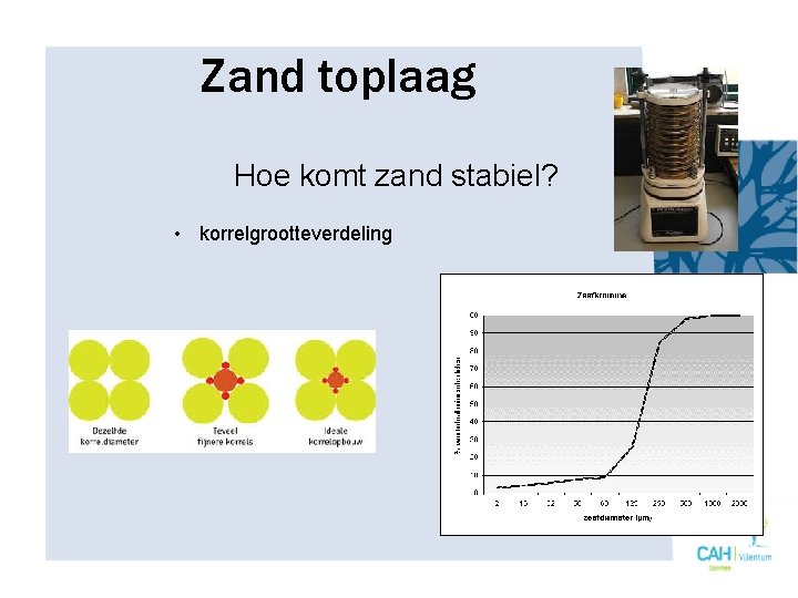 Zand toplaag Hoe komt zand stabiel? • korrelgrootteverdeling 