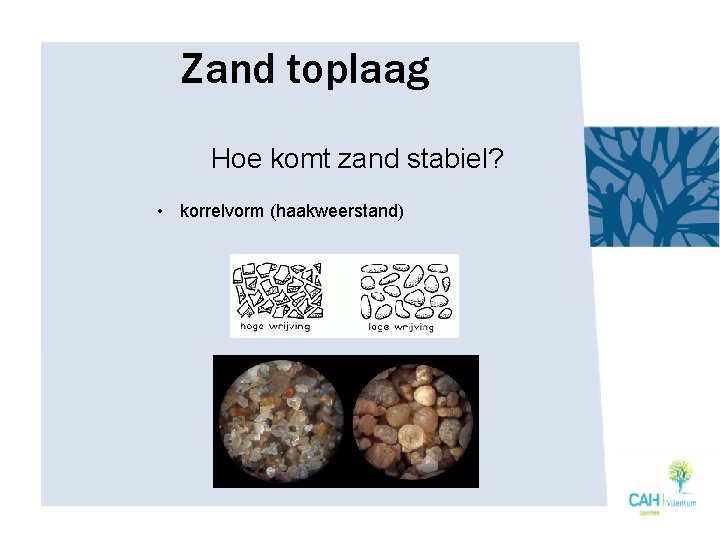 Zand toplaag Hoe komt zand stabiel? • korrelvorm (haakweerstand) 