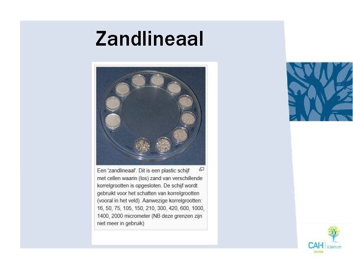 Zandlineaal 