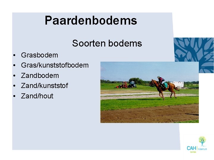 Paardenbodems Soorten bodems • • • Grasbodem Gras/kunststofbodem Zand/kunststof Zand/hout 