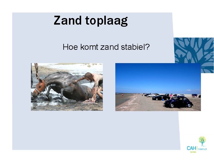 Zand toplaag Hoe komt zand stabiel? 